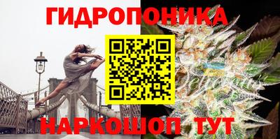 метамфетамин Будённовск